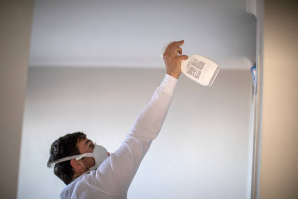Mold Removal and Inspection in Sheldon, TX