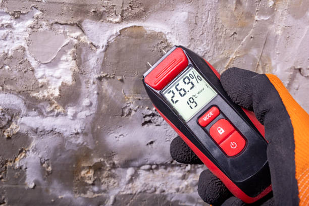 Best Mold Cleaning Services  in Sheldon, TX